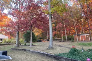 30 Hollow Rd, Telford, PA 18969 - Photo 35