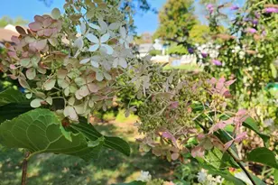 301 N 3rd St, Telford, PA 18969 - Photo 47