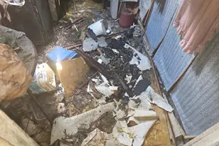 245 Linden Ave, Glenside, PA 19038 - Photo 11