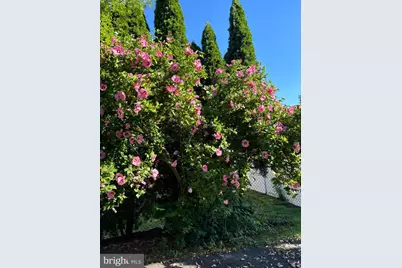 725 Springdell Road, King of Prussia, PA 19406 - Photo 27