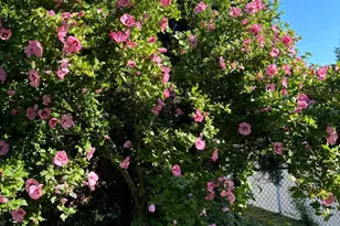 725 Springdell Rd, King of Prussia, PA 19406 - Photo 27