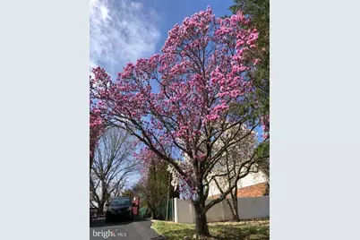 725 Springdell Road, King of Prussia, PA 19406 - Photo 31