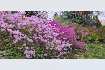 202 Elm Avenue, Cheltenham, PA 19012 - Photo 71