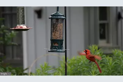 202 Elm Avenue, Cheltenham, PA 19012 - Photo 73