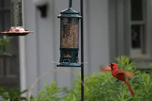 202 Elm Ave, Cheltenham, PA 19012 - Photo 73