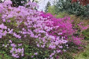 202 Elm Ave, Cheltenham, PA 19012 - Photo 79