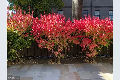 10 Llanfair Road #9, Ardmore, PA 19003 - Photo 15