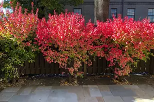 10 Llanfair Rd, Ardmore, PA 19003 - Photo 15