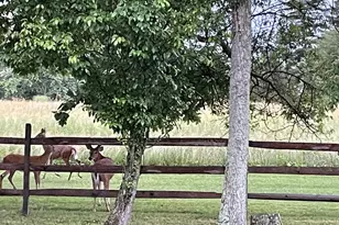 6180 Argos Dr, Blue Bell, PA 19422 - Photo 35