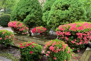 259 Barwynne Rd, Wynnewood, PA 19096 - Photo 39