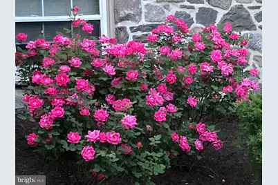 259 Barwynne Road, Wynnewood, PA 19096 - Photo 37