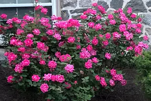 259 Barwynne Rd, Wynnewood, PA 19096 - Photo 37