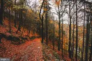 1716 St Georges Rd, Dresher, PA 19025 - Photo 91