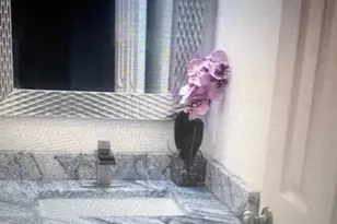 16 Township Line Rd, Elkins Park, PA 19027 - Photo 5