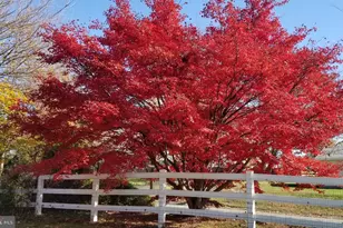 817 Buchert Rd, Pottstown, PA 19464 - Photo 51