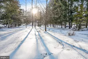 2853 Hauck Rd, Green Lane, PA 18054 - Photo 41