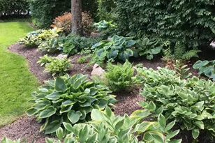 412 Rices Mill Rd, Wyncote, PA 19095 - Photo 43