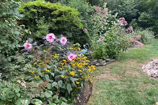 412 Rices Mill Rd, Wyncote, PA 19095 - Photo 45