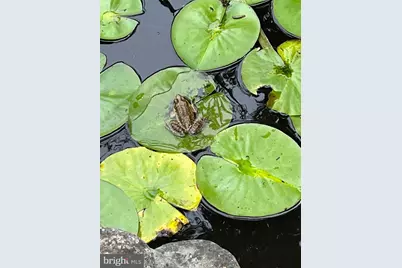 412 Rices Mill Road, Wyncote, PA 19095 - Photo 43