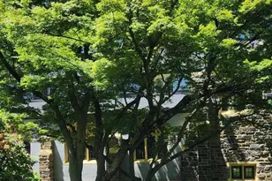 206 Price Ave, Narberth, PA 19072 - Photo 11