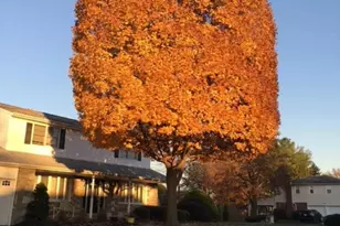 799 Bobwhite Ln, Huntingdon Valley, PA 19006 - Photo 31