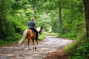 2824 Hill Rd, Green Lane, PA 18054 - Photo 35