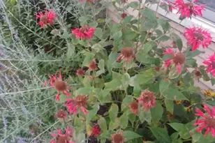 11 Oakplace Ct W, Harleysville, PA 19438 - Photo 35