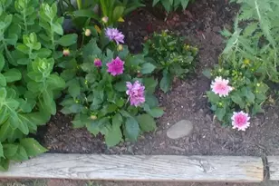 11 Oakplace Ct W, Harleysville, PA 19438 - Photo 31