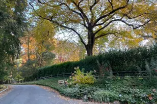 435 Garden Ln, Lower Merion Township, PA 19010 - Photo 65