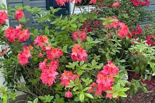 2301 Warner Rd, Lansdale, PA 19446 - Photo 51