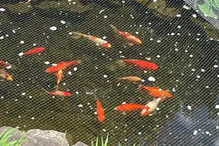 2301 Warner Rd, Lansdale, PA 19446 - Photo 49