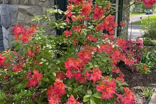 2301 Warner Rd, Lansdale, PA 19446 - Photo 43