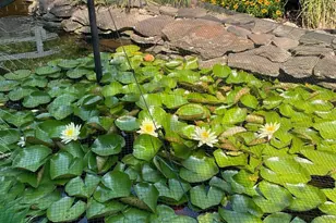 2301 Warner Rd, Lansdale, PA 19446 - Photo 47