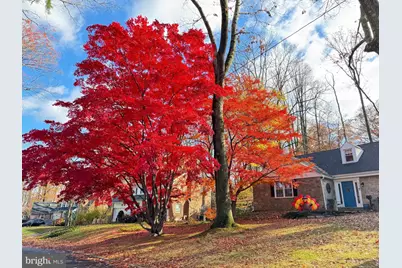 513 Waln Road, Glenside, PA 19038 - Photo 33