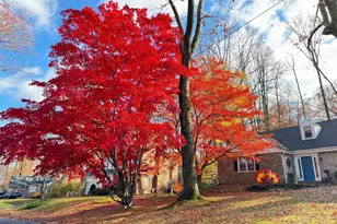 513 Waln Rd, Glenside, PA 19038 - Photo 33