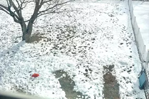 2941 Keenwood Rd, Norristown, PA 19403 - Photo 11