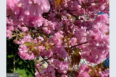 362 Meadow Lane, Telford, PA 18969 - Photo 53