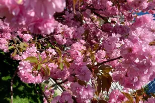 362 Meadow Ln, Telford, PA 18969 - Photo 53