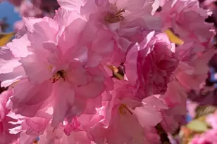 362 Meadow Ln, Telford, PA 18969 - Photo 51