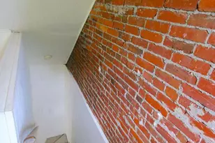 1037 Rees Ave, Bryn Mawr, PA 19010 - Photo 13