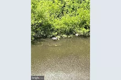 556 Carson Terrace, Huntingdon Valley, PA 19006 - Photo 39