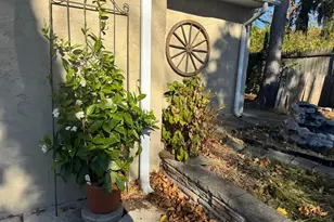 713 Bethlehem Pike, Glenside, PA 19038 - Photo 49