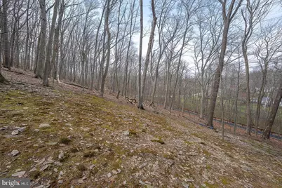 471 Gypsy Lane, King of Prussia, PA 19406 - Photo 65