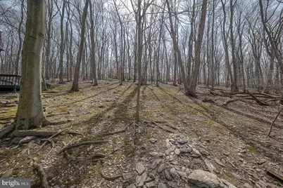 471 Gypsy Lane, King of Prussia, PA 19406 - Photo 67