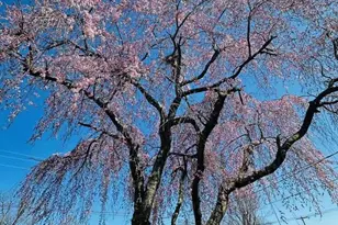 556 Anne St, Huntingdon Valley, PA 19006 - Photo 39