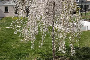 207 Amelia St, Mont Clare, PA 19453 - Photo 65