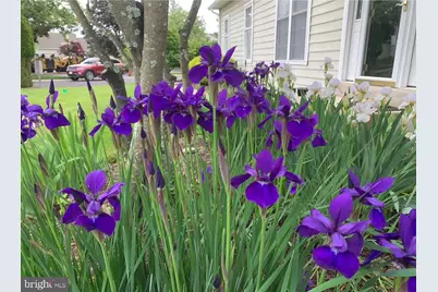 135 Birkdale Drive, Blue Bell, PA 19422 - Photo 37