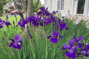 135 Birkdale Dr, Blue Bell, PA 19422 - Photo 37