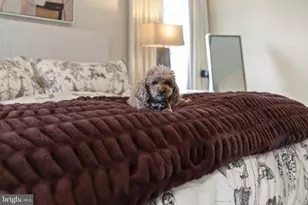 201 Wolf Ln, Ambler, PA 19002 - Photo 35