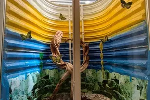 562 Farmdale Cir, Blue Bell, PA 19422 - Photo 43